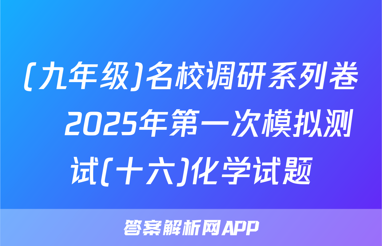 (九年级)名校调研系列卷•2025年第一次模拟测试(十六)化学试题