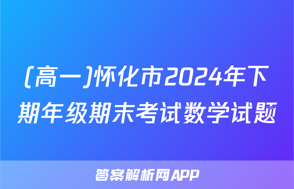 (高一)怀化市2024年下期年级期末考试数学试题