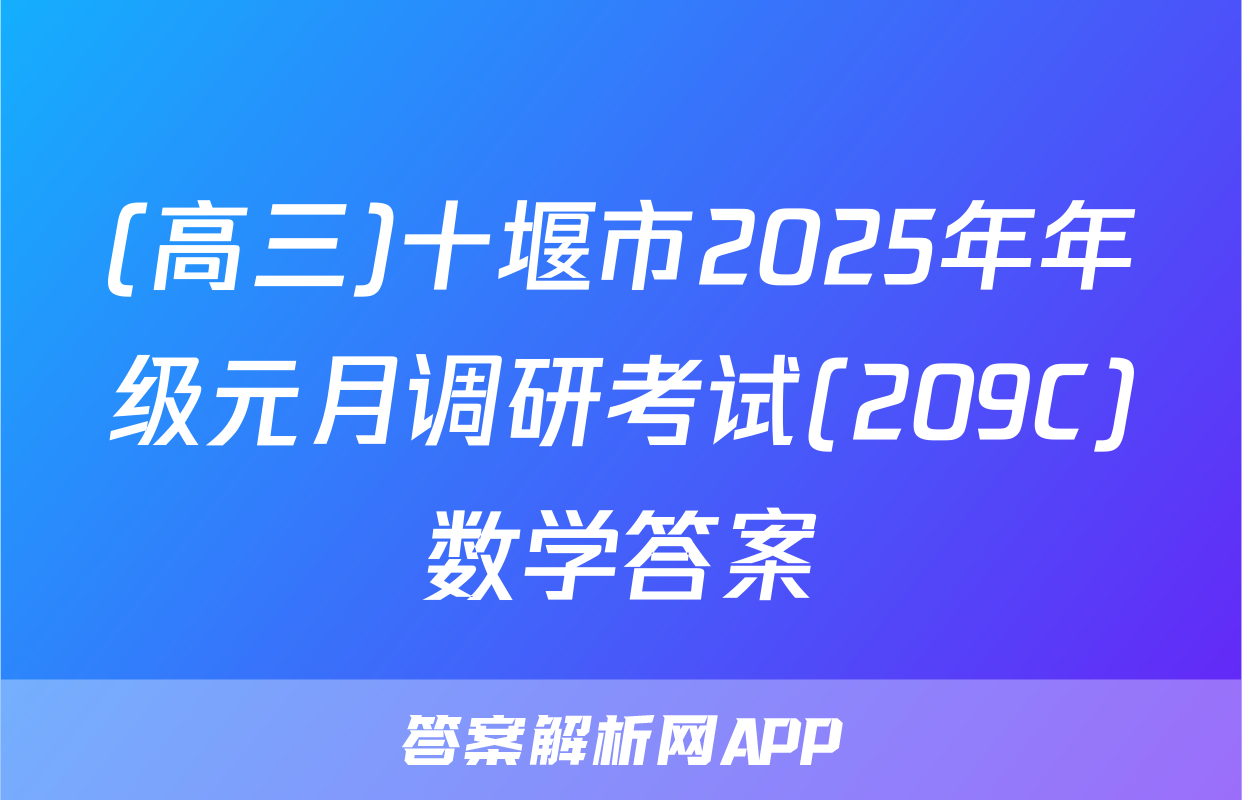 (高三)十堰市2025年年级元月调研考试(209C)数学答案