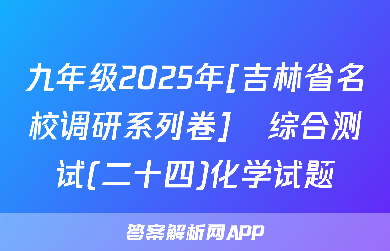 九年级2025年[吉林省名校调研系列卷]•综合测试(二十四)化学试题