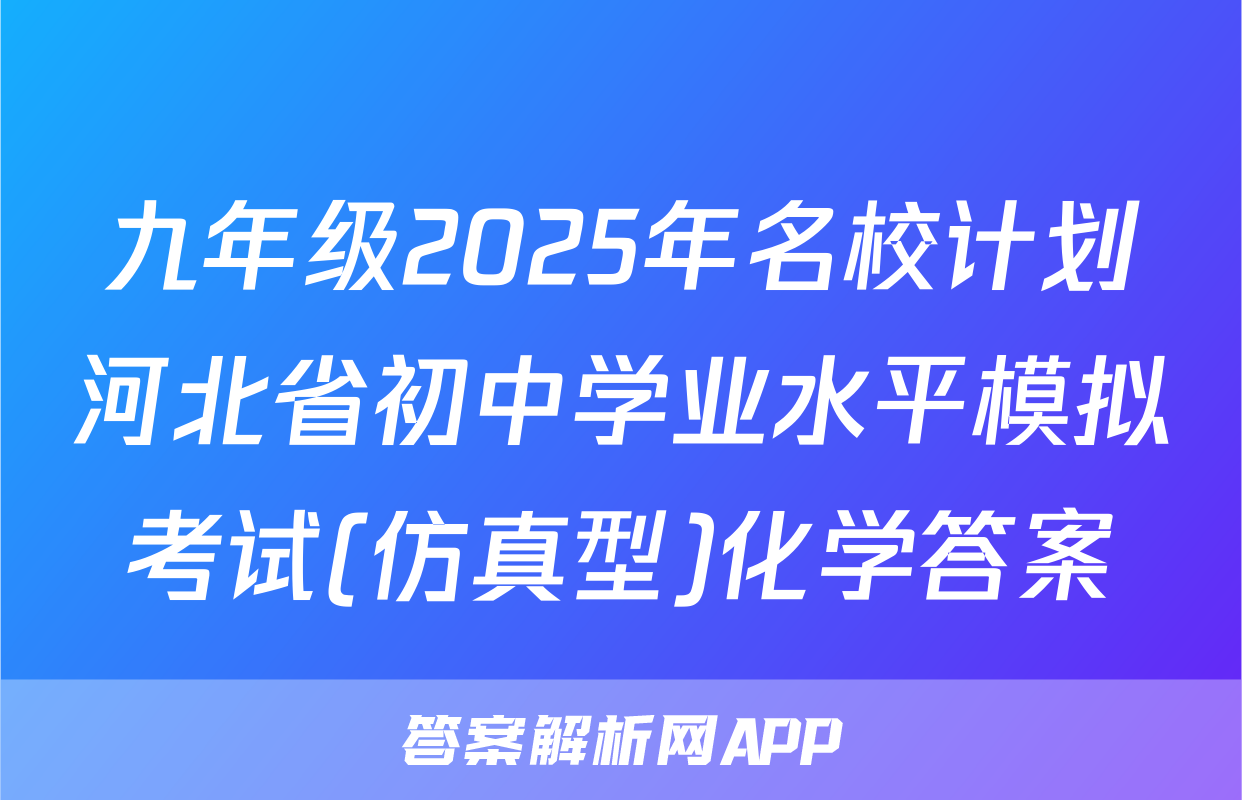 九年级2025年名校计划河北省初中学业水平模拟考试(仿真型)化学答案