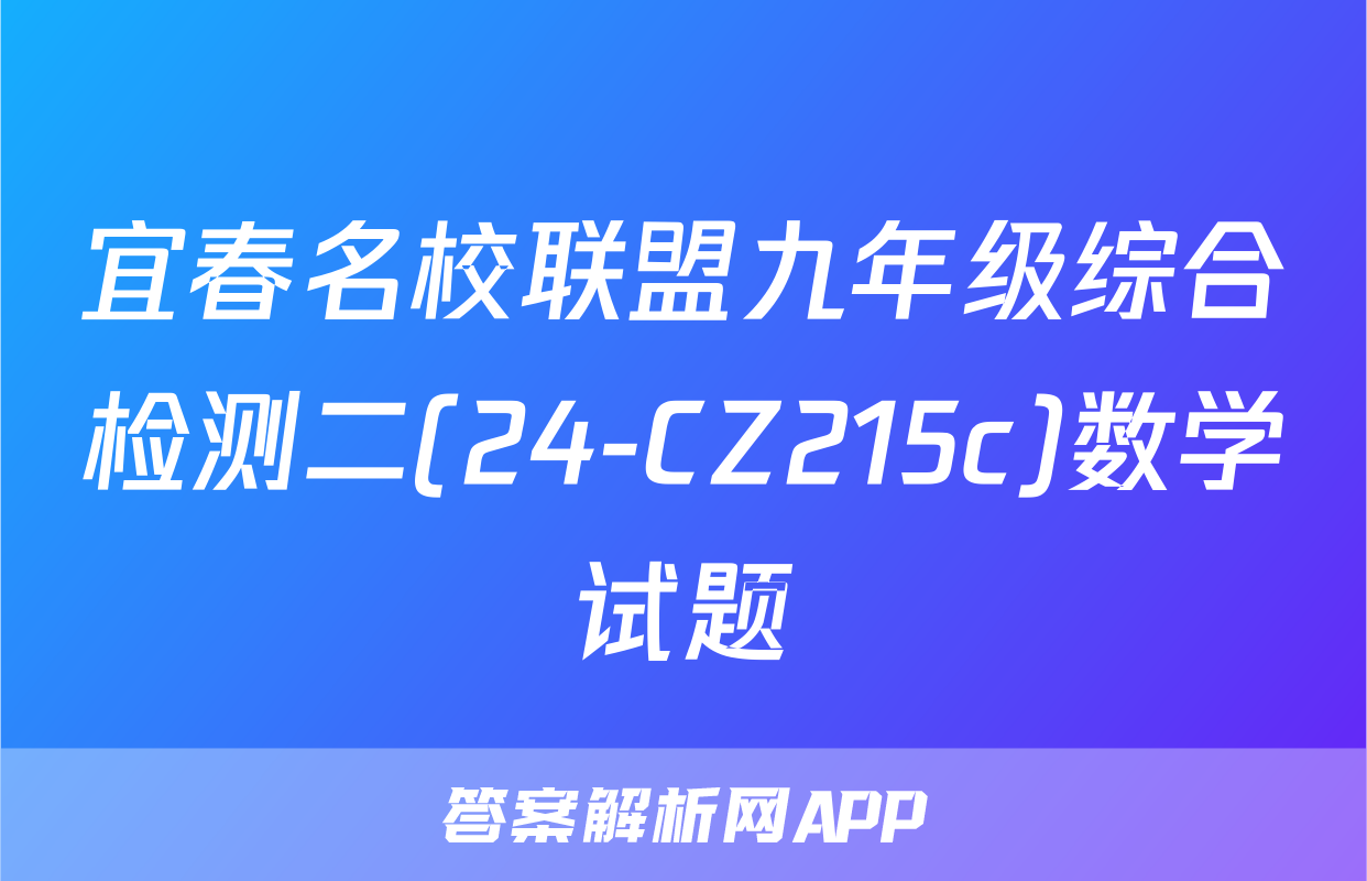 宜春名校联盟九年级综合检测二(24-CZ215c)数学试题