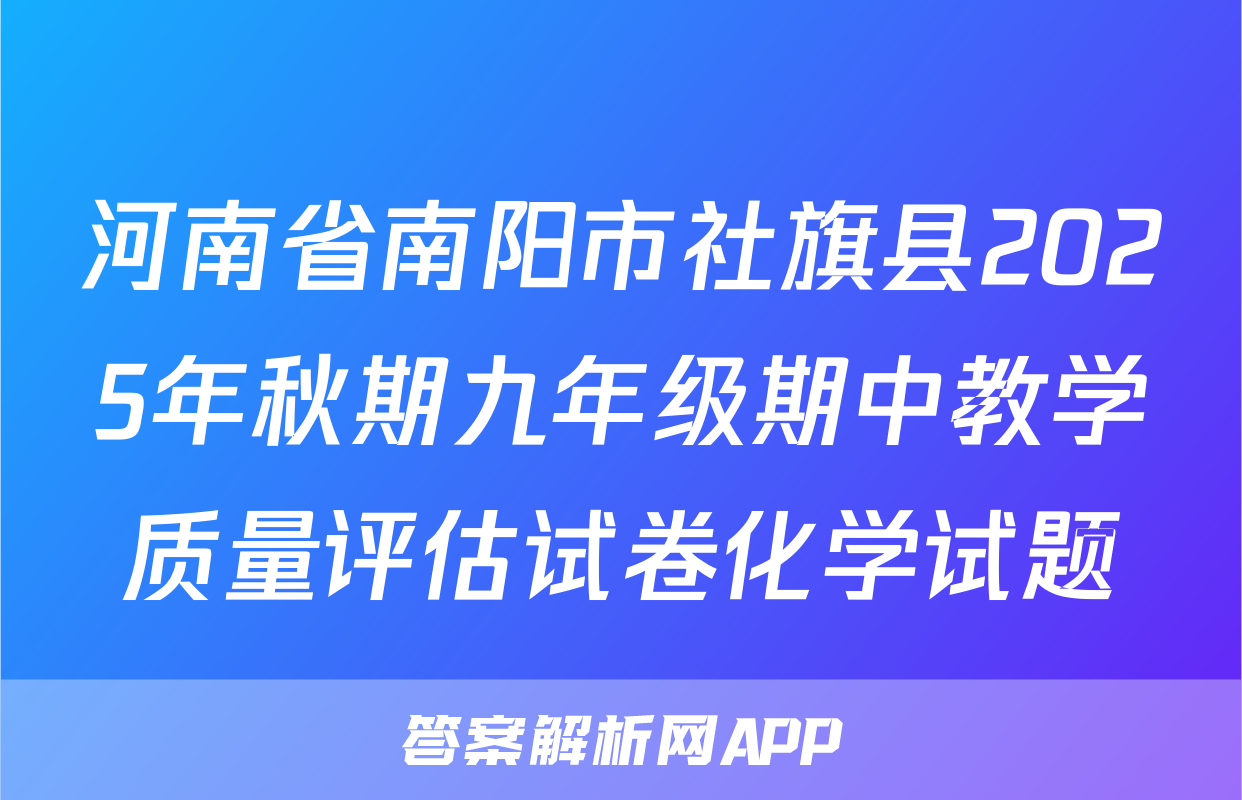 河南省南阳市社旗县2025年秋期九年级期中教学质量评估试卷化学试题